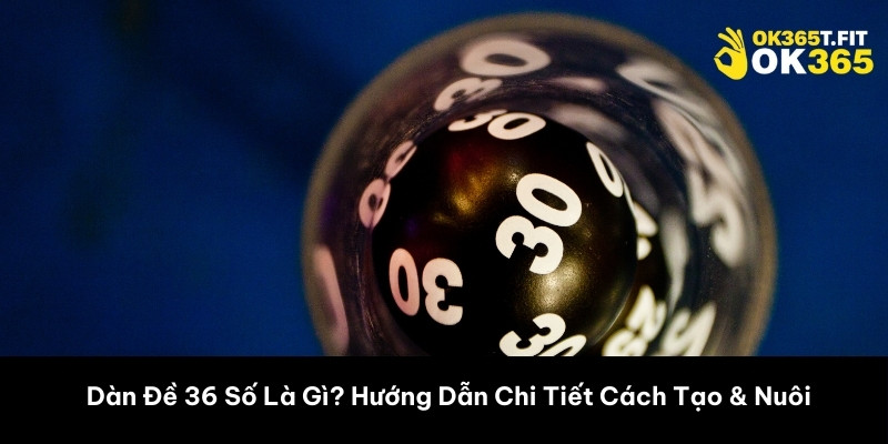 Dàn Đề 36 Số Là Gì? Hướng Dẫn Chi Tiết Cách Tạo & Nuôi