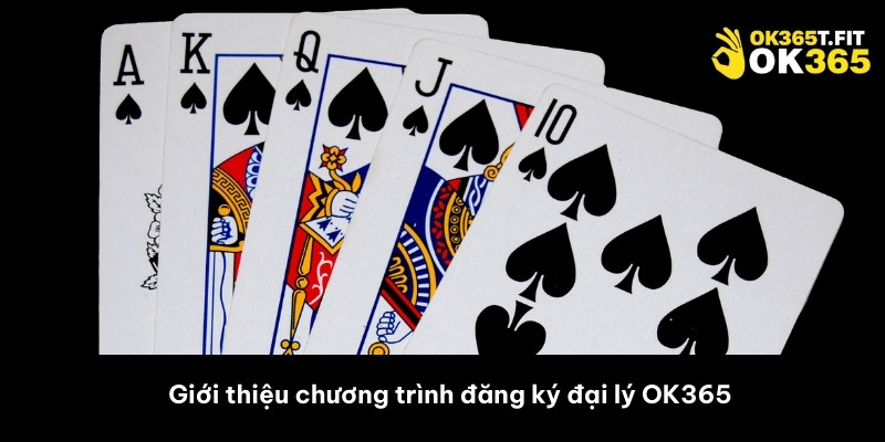 Giới thiệu chương trình đăng ký đại lý OK365