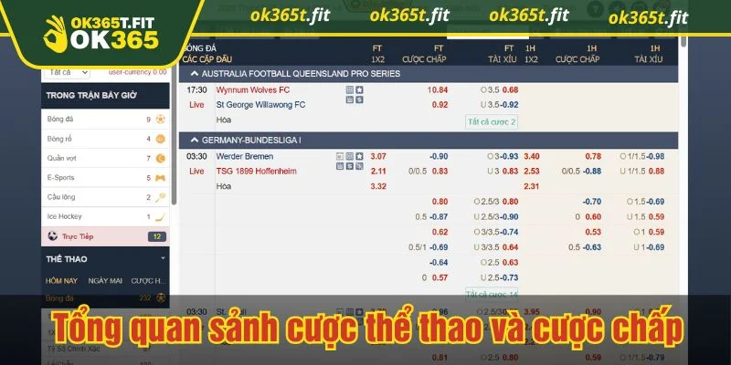 Kèo châu Á là hình thức cá cược phổ biến tại OK365