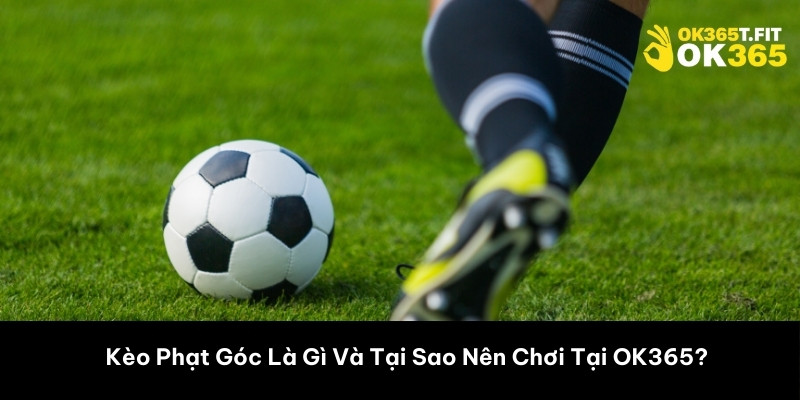 Kèo Phạt Góc Là Gì Và Tại Sao Nên Chơi Tại OK365? 