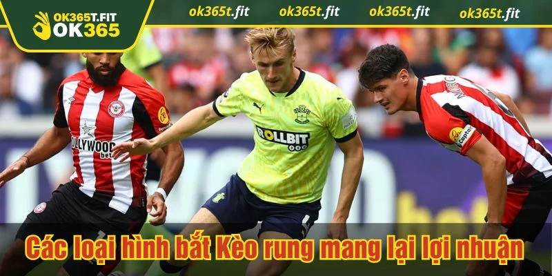 Kèo rung xuất hiện dưới nhiều hình thức khác nhau