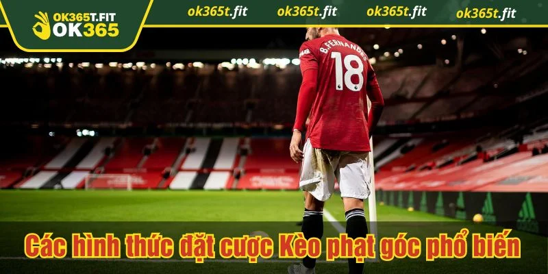 Nhà cái phân tách nhiều lựa chọn cho người chơi