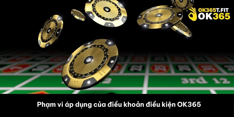 Phạm vi áp dụng của điều khoản điều kiện OK365