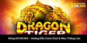 Rồng hổ ok365