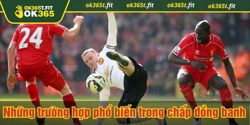 Đọc kèo chuẩn giúp bet thủ vào tiền hợp lý