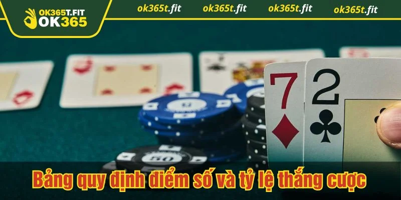 Hiểu rõ các loại dằn dơ để áp dụng linh hoạt