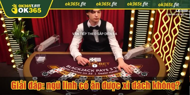 Luật được công bố khá rõ ràng ngay từ đầu bàn