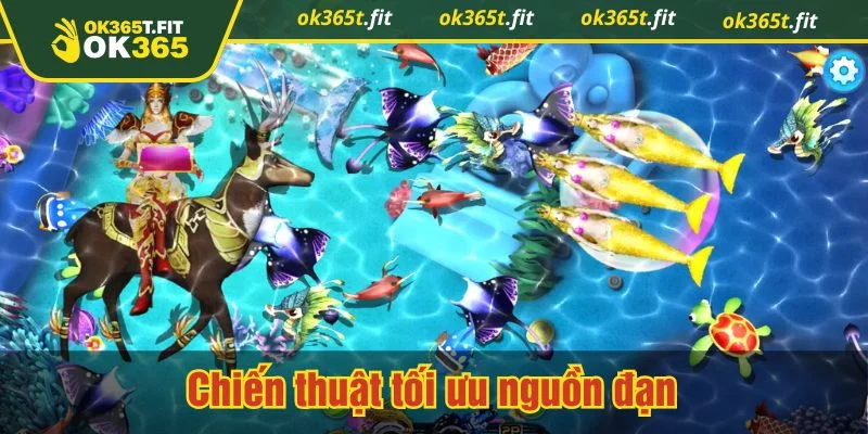 Nên ưu tiên cá nhỏ trước để tích lũy trong cách chơi bắn cá