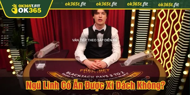 Ngũ linh có ăn được xì dách không