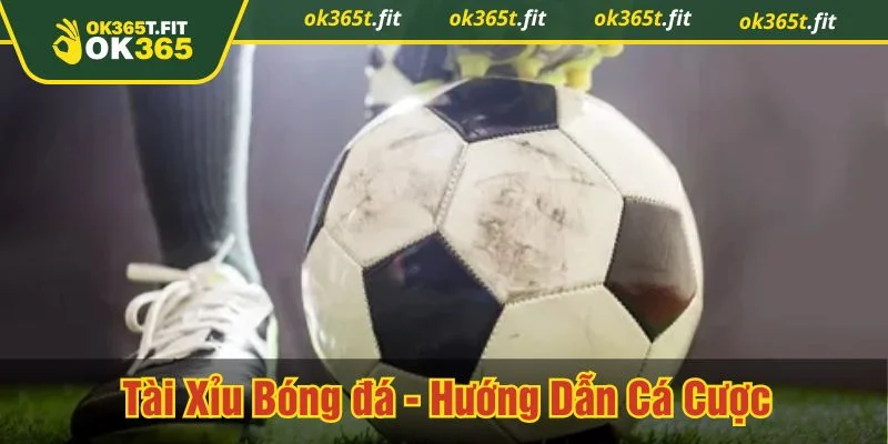 Tài xỉu bóng đá