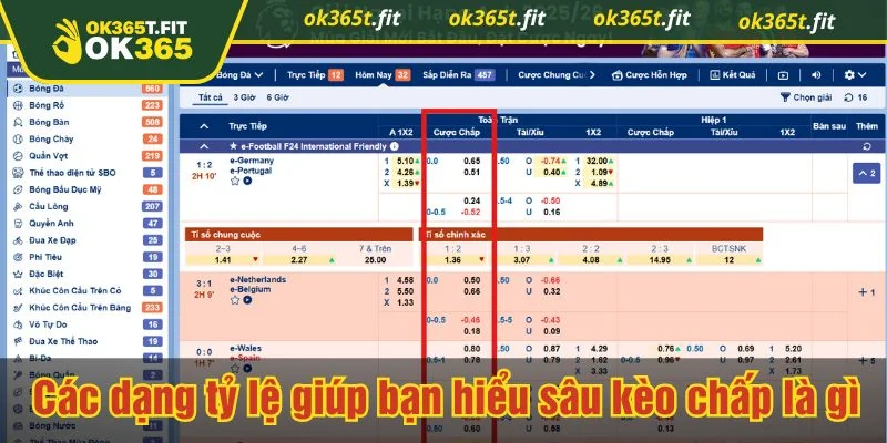 Tỷ lệ được cập nhật liên tục theo diễn biến thị trường