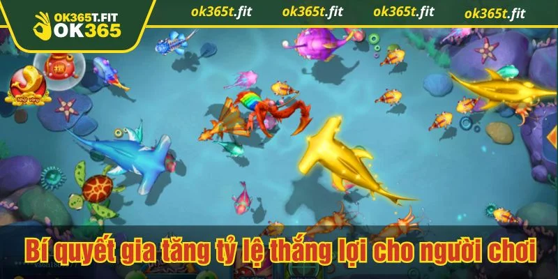 Người chơi nên xây dựng thói quen quản lý xu hợp lý