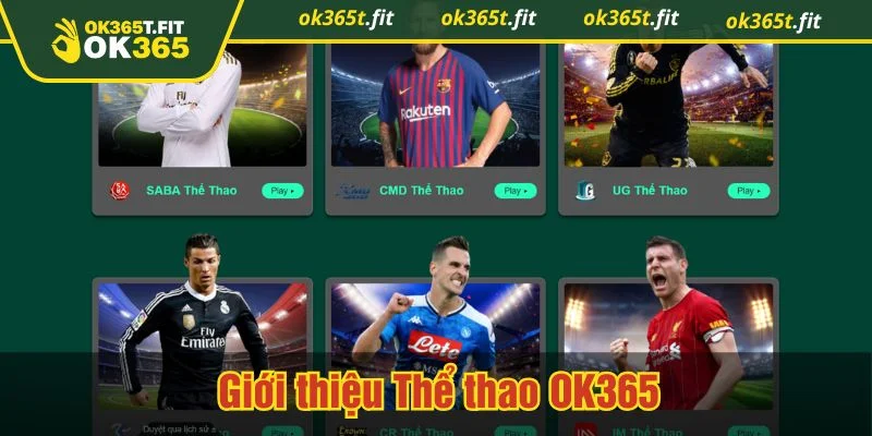 Thể thao OK365 là sảnh cá cược thể thao trực tuyến siêu hot