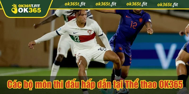 Thể thao OK365 tạo dấu ấn nhờ danh mục bộ môn đa dạng