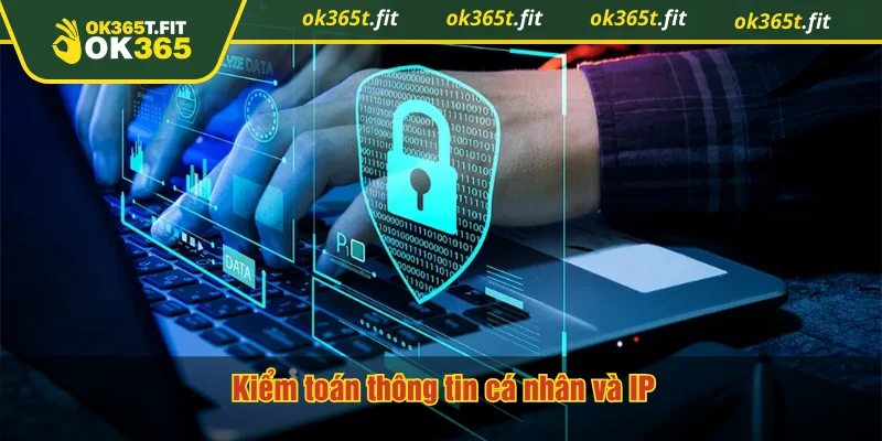 Kiểm toán thông tin cá nhân và IP