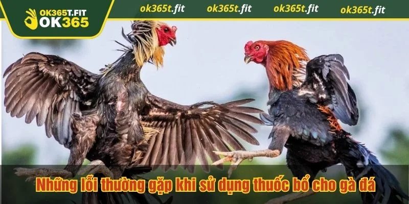 Lạm dụng thuốc bổ cho gà đá cũng không tốt