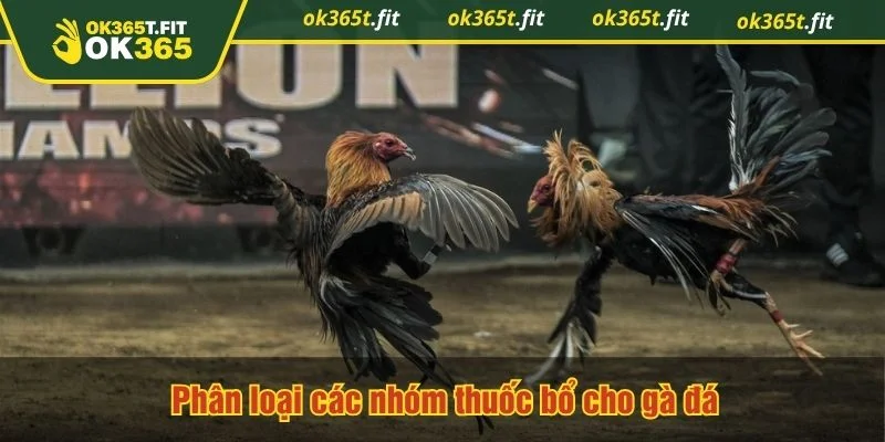 Từng nhóm thuốc bổ cho gà đá được phân theo mục đích sử dụng